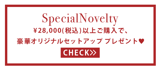 Special Novelty ¥28,000(税込)以上ご購入で、セットアップ プレゼント