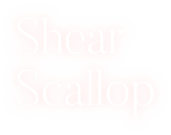 Shear Scallop